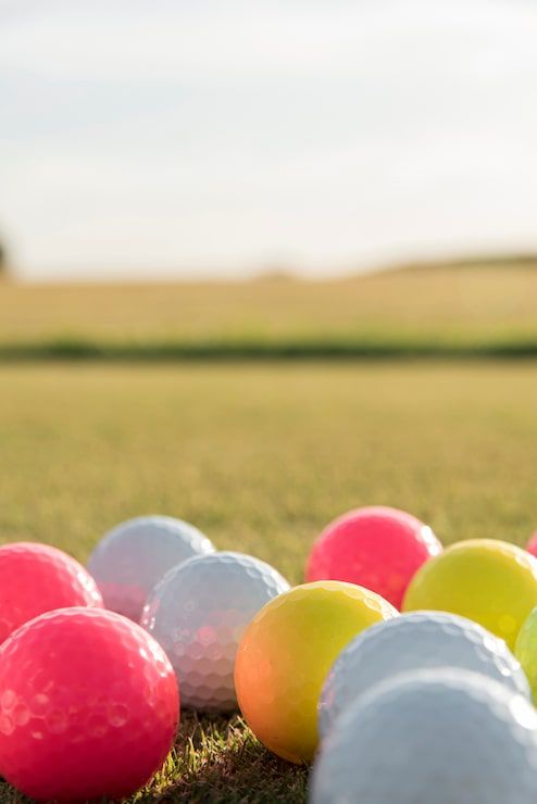 494x740 Petanque Photo Free High Quality Picture