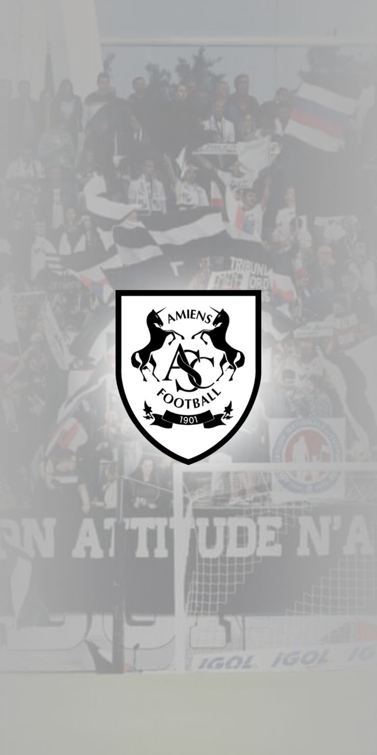 736x1472 Amiens SC Wallpaper