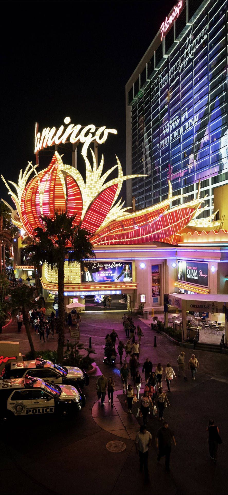 887x1920 Download Flamingo Las Vegas Hotel And Casino iPhone Wallpaper