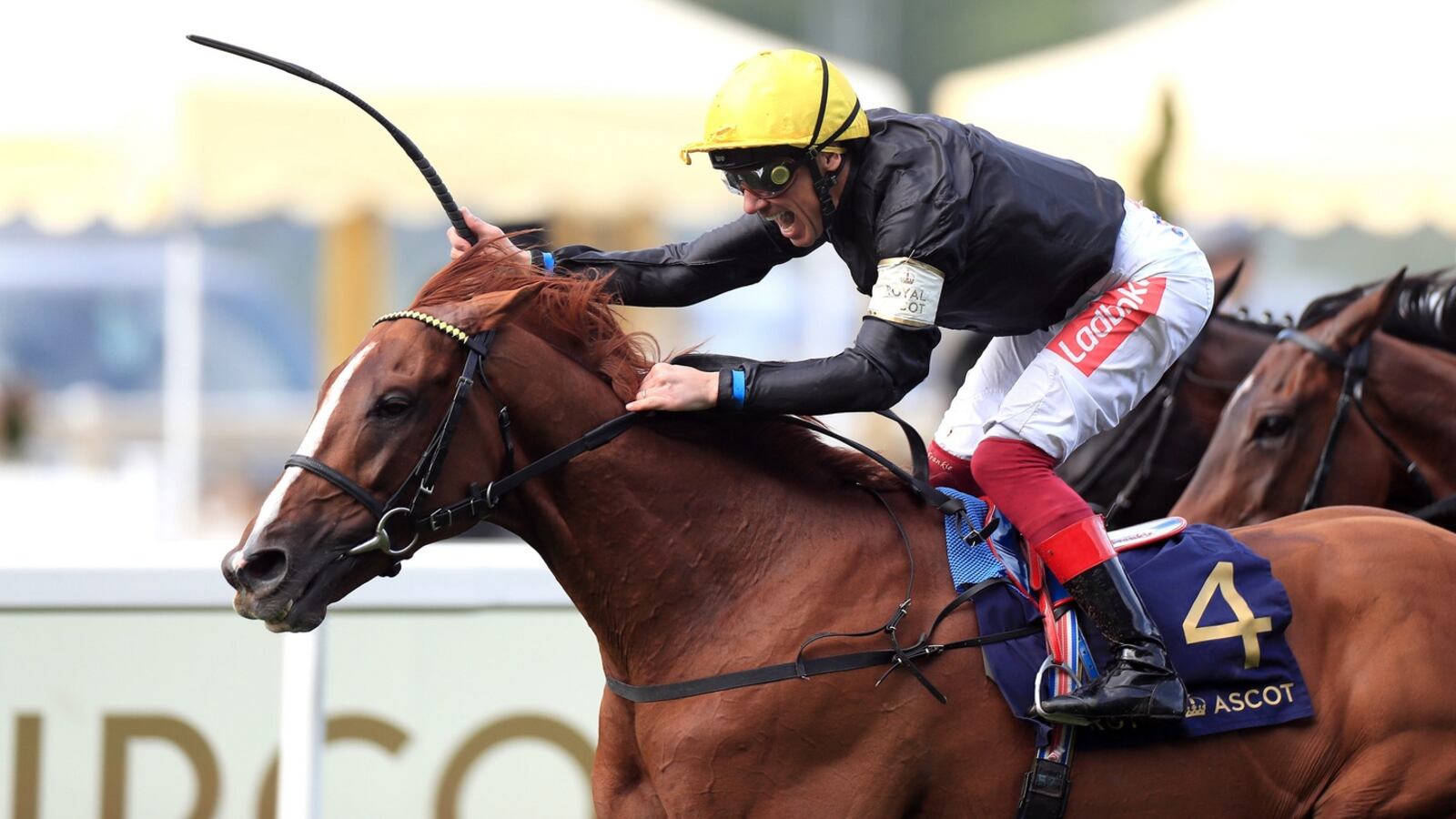 1600x900 Frankie Dettori gets another perfect tune out of Stradivarius to retain Gold Cup