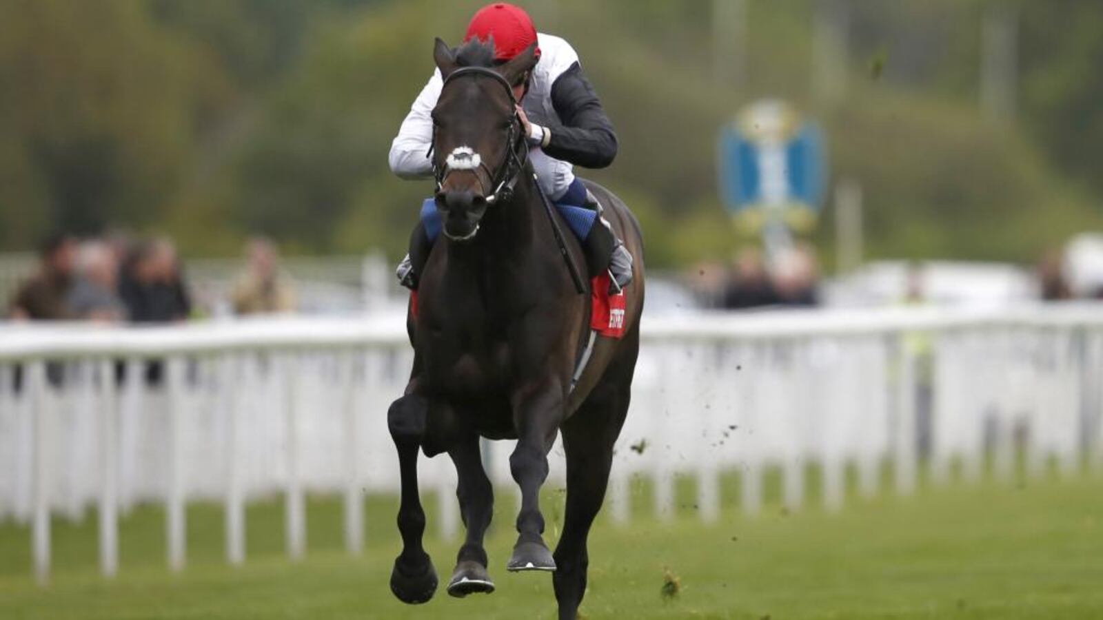 1600x900 Epsom Derby preview: Golden Horn can deliver sweet win for Frankie Dettori