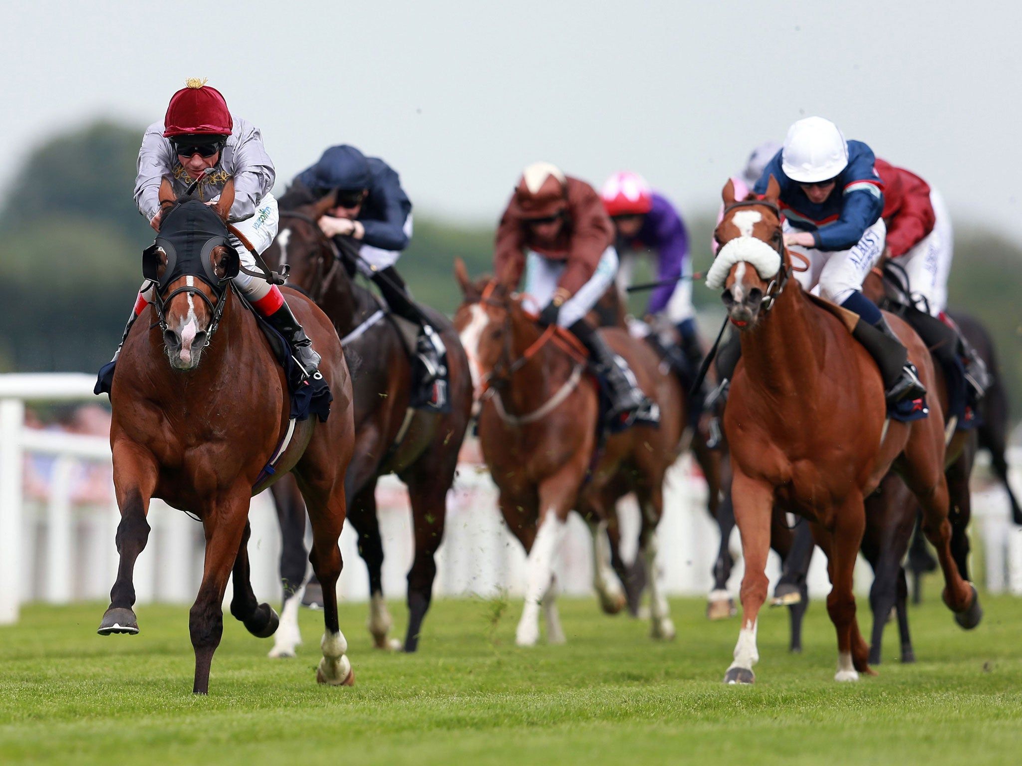 2048x1536 Lockinge Stakes: Olympic Glory for Frankie Dettori