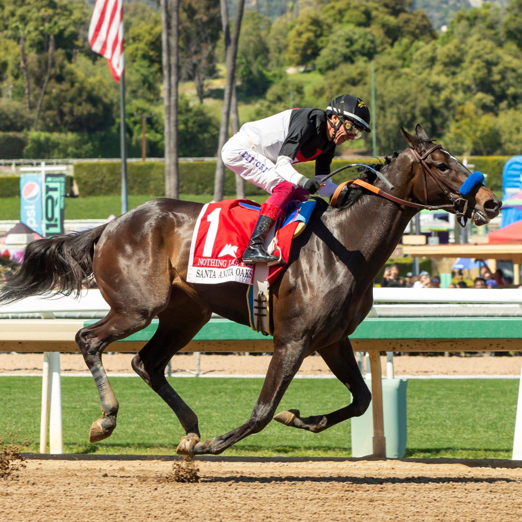 1800x1800 Jockey Frankie Dettori ties Santa Anita record with 6 consecutive wins