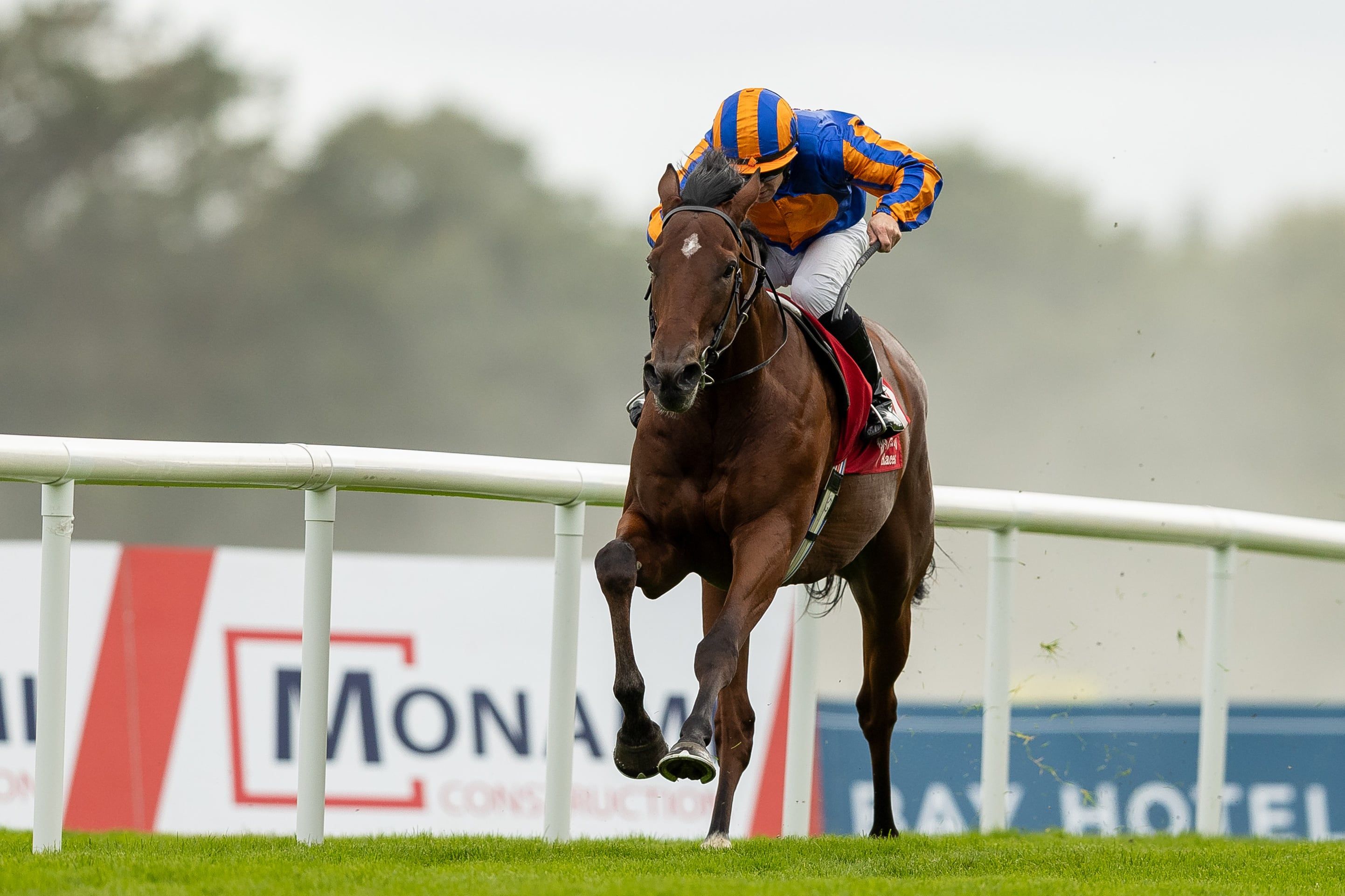 2884x1922 Frankie Dettori signs off in sensational fashion with Champion Stakes glory