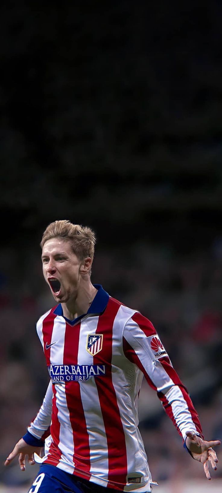 736x1635 Fernando Torres