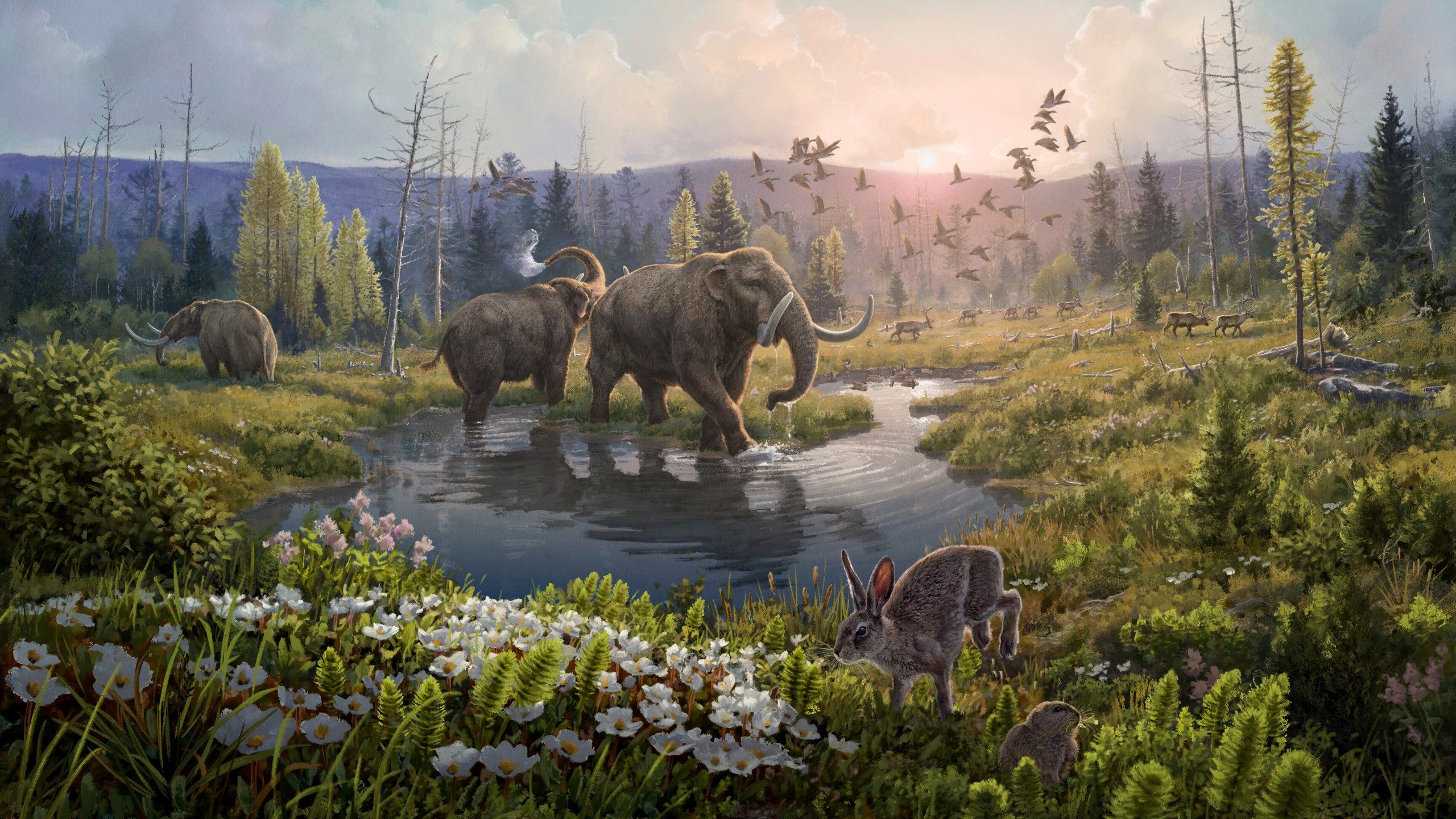 2560x1440 Oldest DNA reveals life in Greenland 2 million years ago