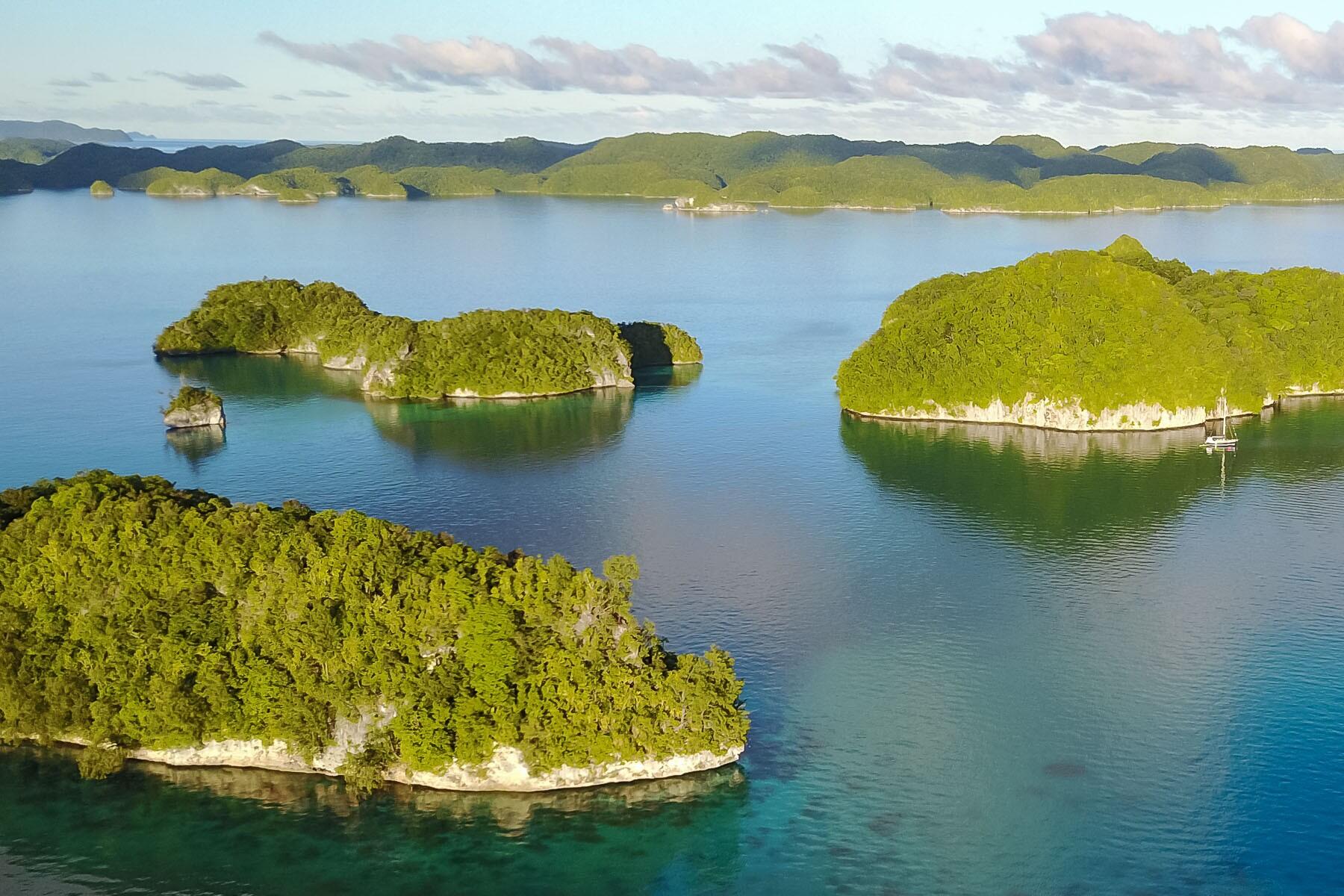 1800x1200 Underwater Scuba and Snorkel Photography in Palau