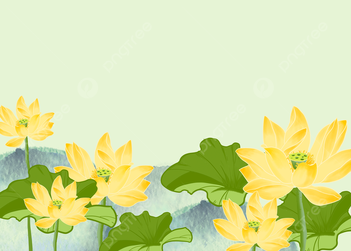 1200x857 Lotus Watercolor Yellow Flowers Blooming Lotus Leaf Lotus Pod, Lotus Flower, Watercolor, Yellow Background Image And Wallpaper for Free Download