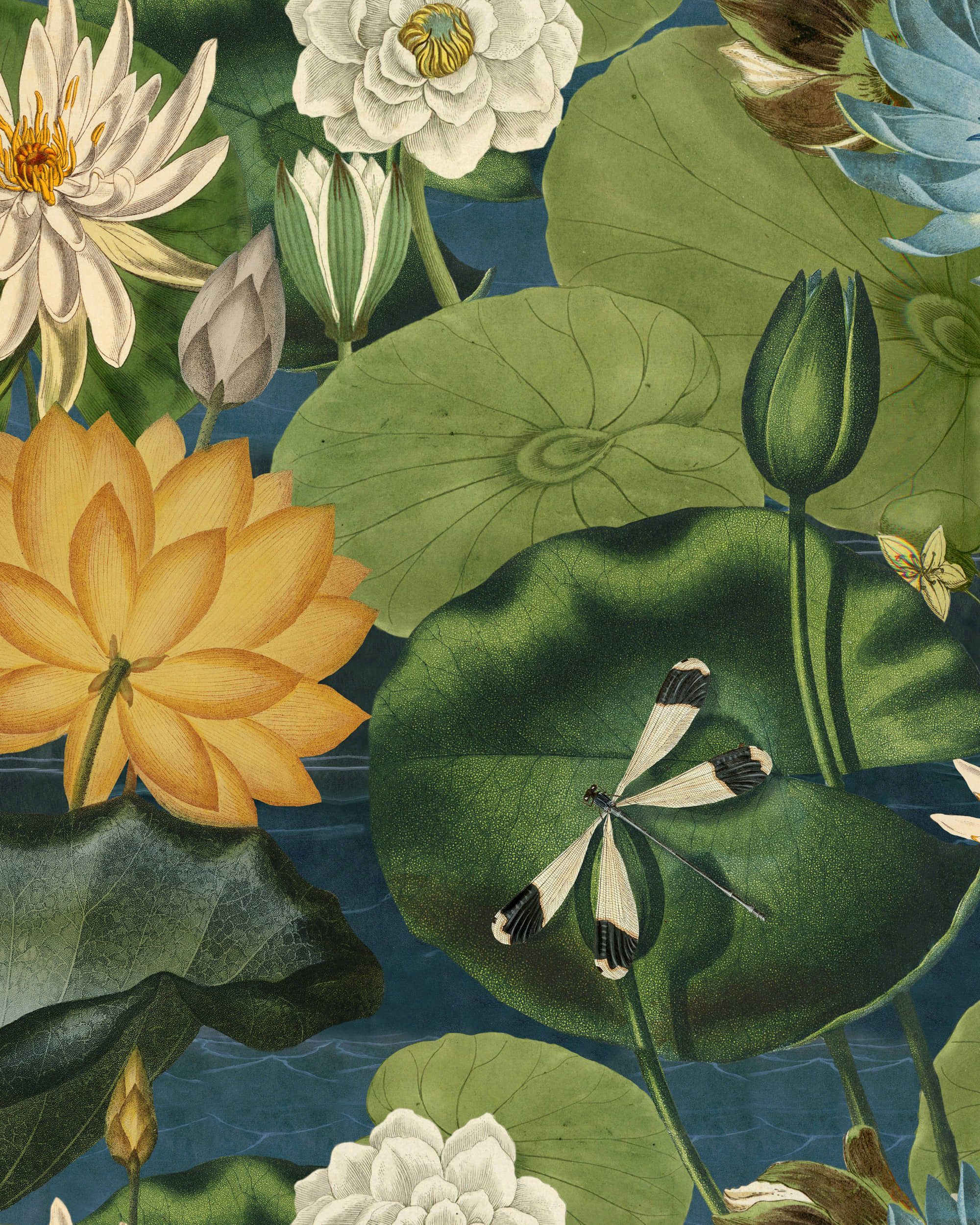 2000x2500 LOTUS BLOSSOM Wallpaper