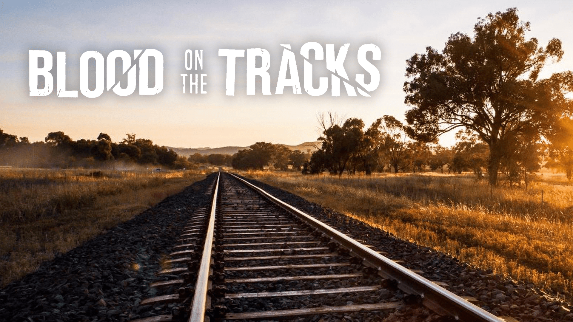 1920x1080 Watch Blood on the Tracks
