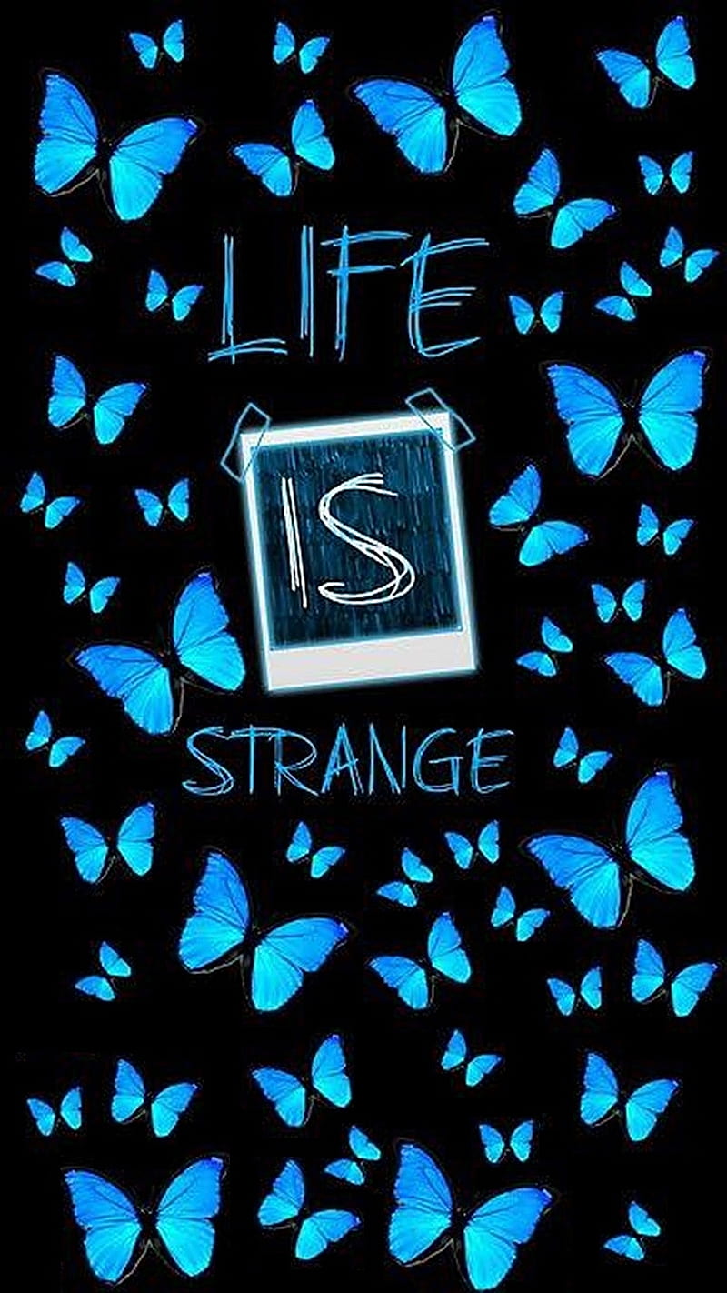 800x1422 Life is Strange, butterfly, chloe, lis, max, HD phone wallpaper
