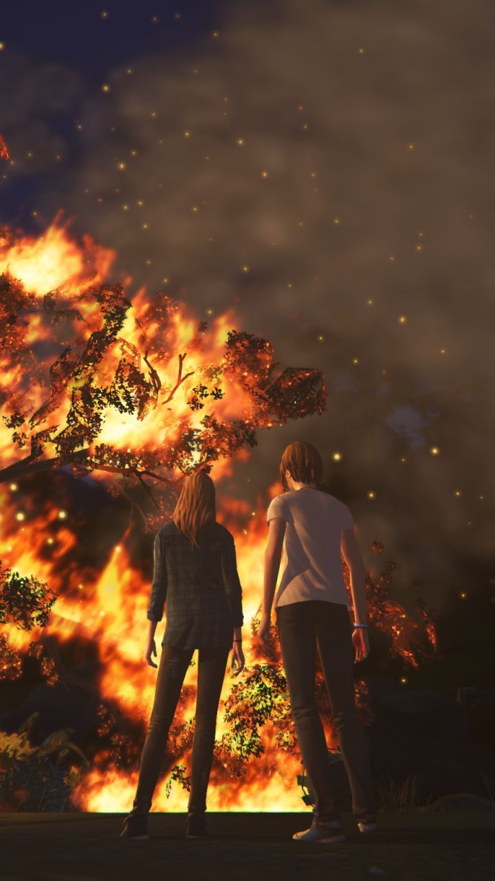 720x1280 Phone wallpaper: Life Is Strange: Before The Storm, Life Is Strange, Rachel Amber, Chloe Price, Video Game 1141951