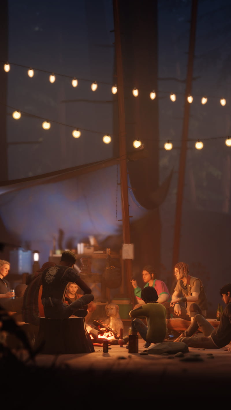800x1422 Wastelands, games, life is strange HD phone wallpaper