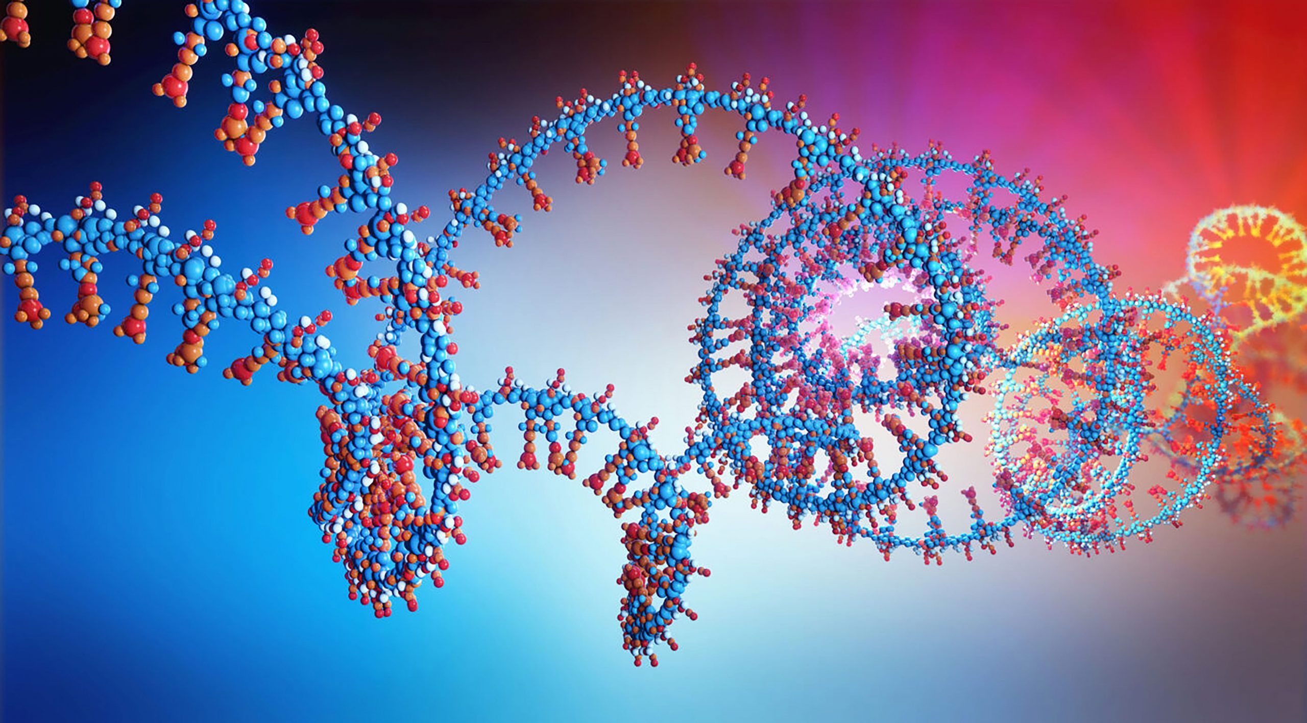 2560x1416 RNA Based Biopharmas