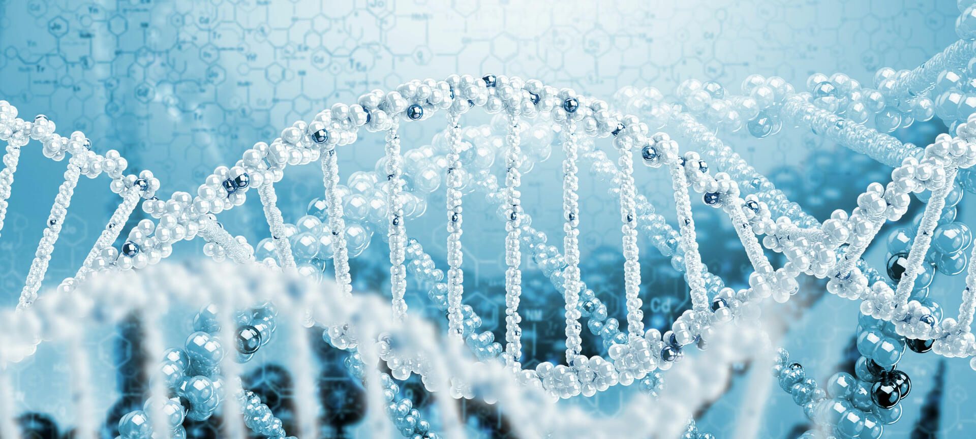 1920x864 What is genotyping and how does it work?