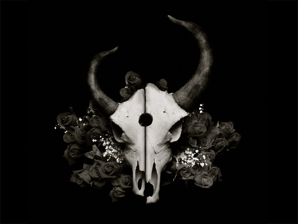 1024x768 Demon Hunter's Music Used by SEAL Team 6