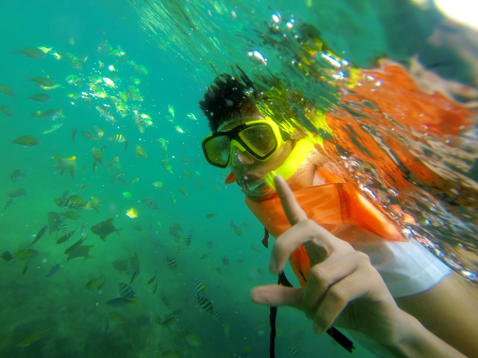 1600x1200 H E L L O ♥ K I M M Y : Snorkeling at Hundred Islands Coral Garden