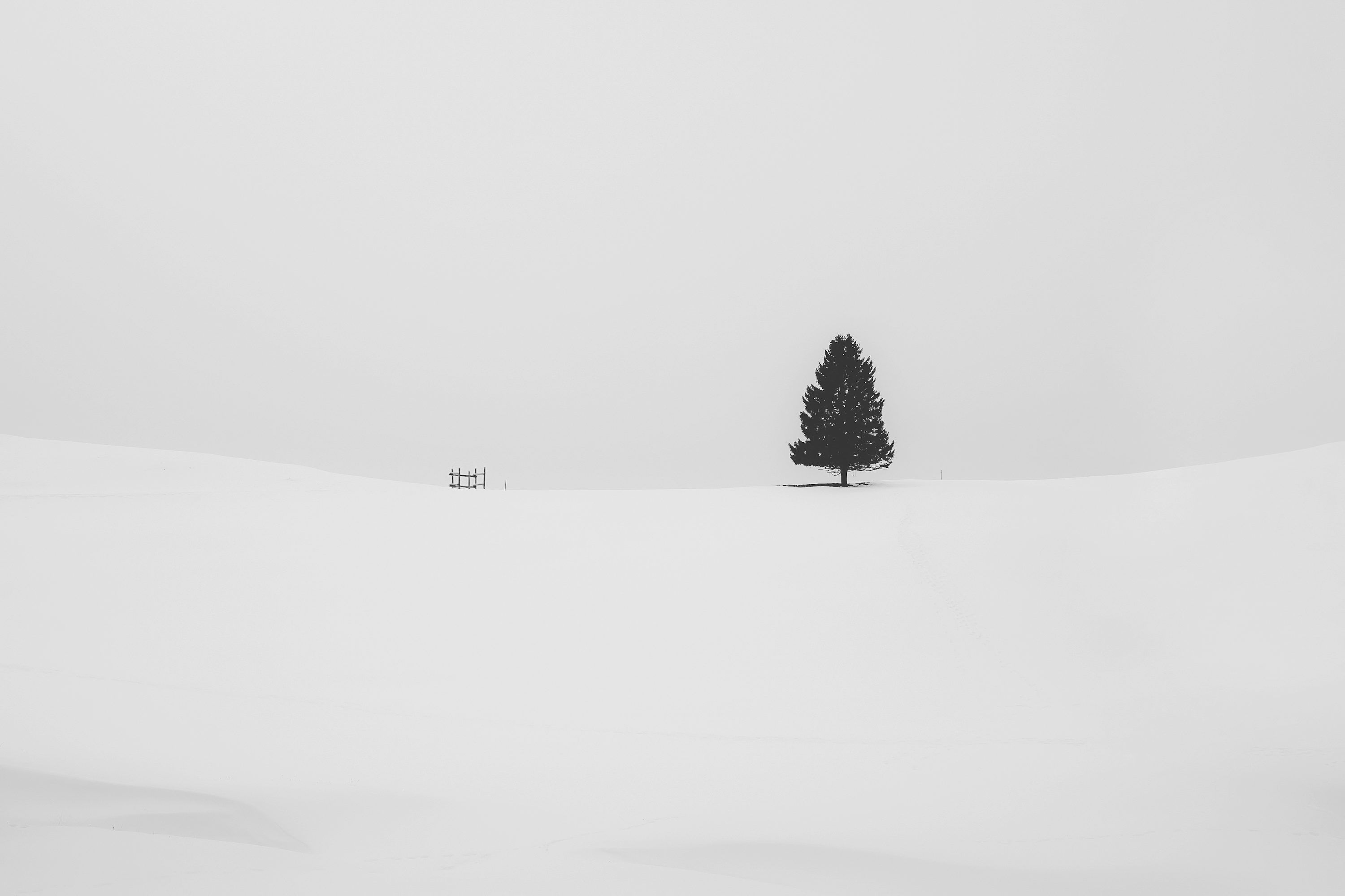 3000x2000 Minimalist Wallpaper: Free HD Download [4K]