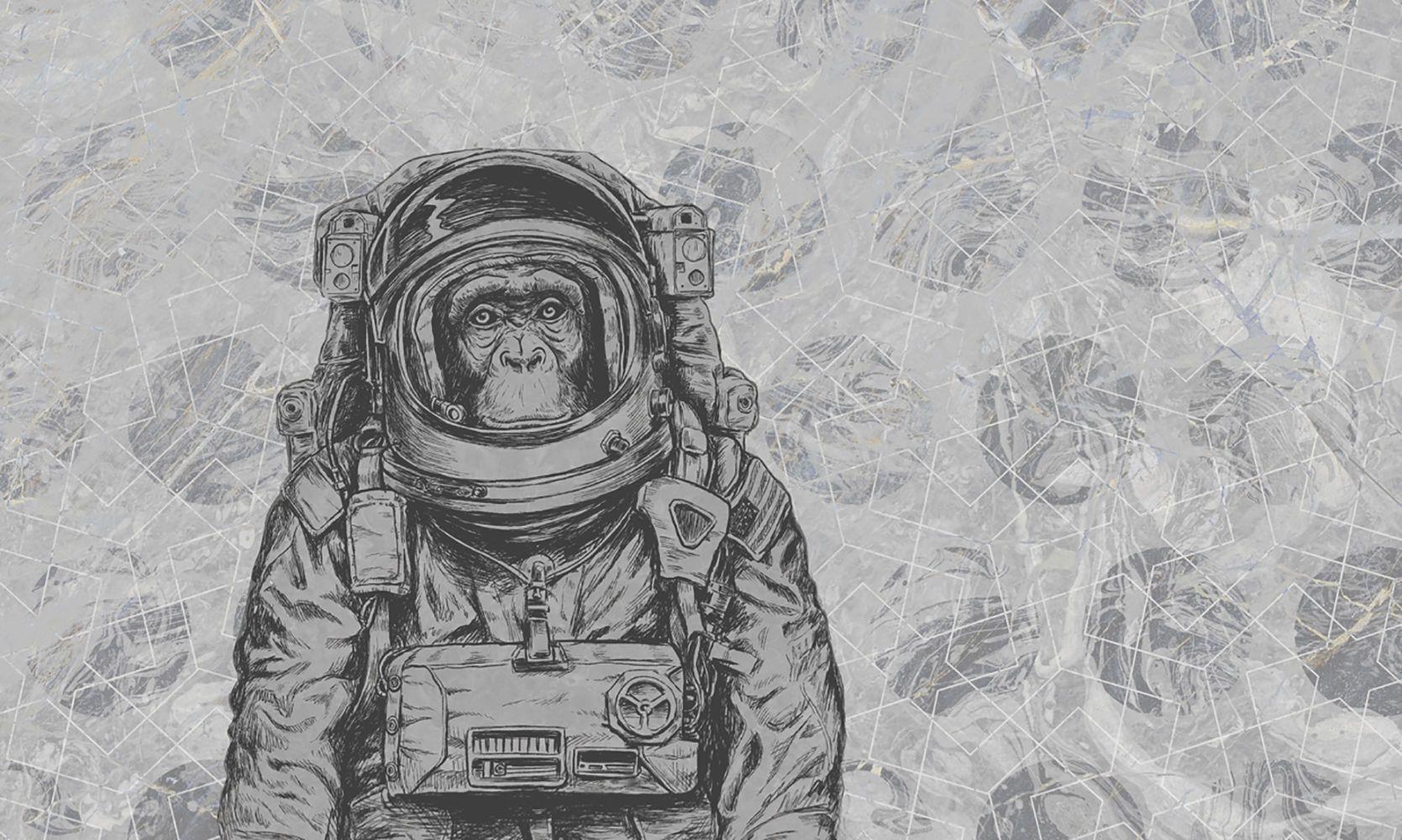 Monkey Astronaut Wallpapers - Top Free Monkey Astronaut Backgrounds