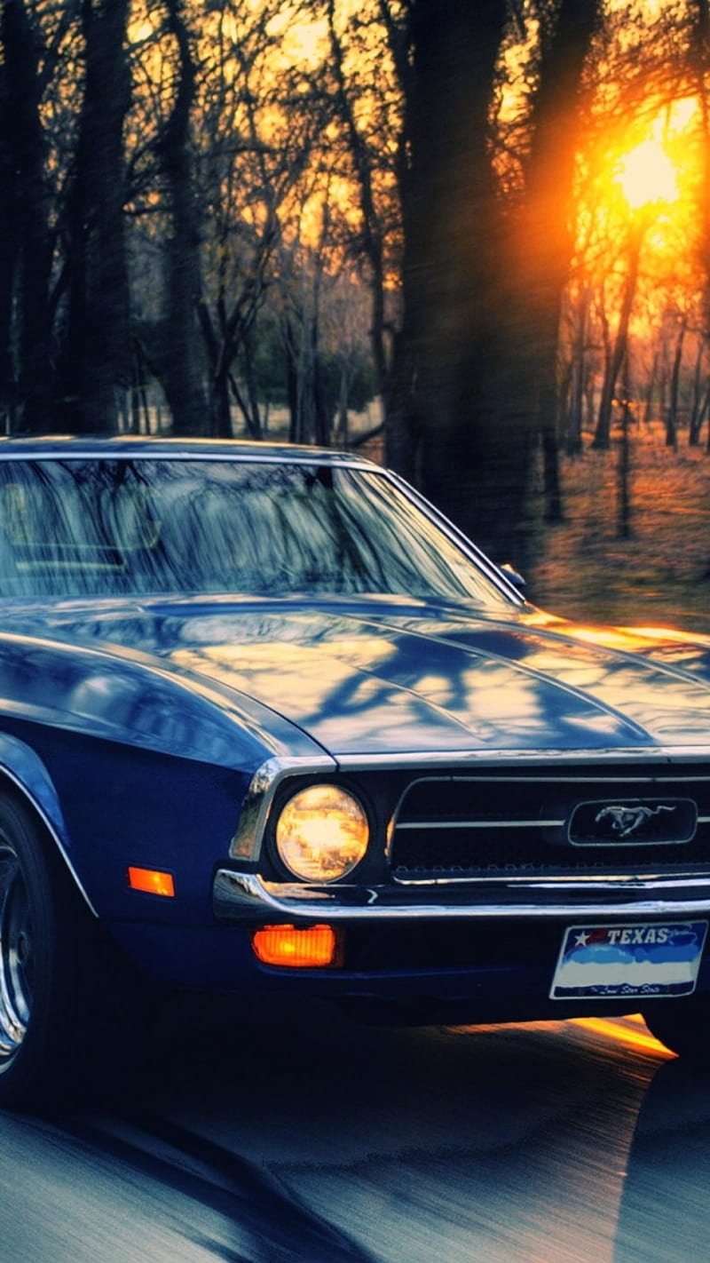 800x1422 HD ford galaxie wallpaper