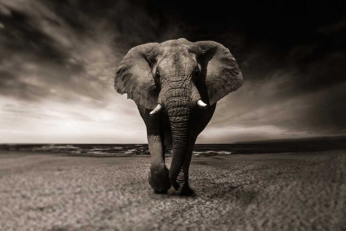1200x800 The best new features in Postgres 18