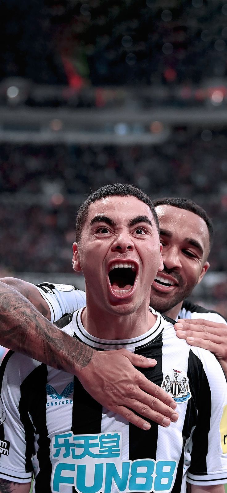 736x1593 Miguel Almirón Wallpaper