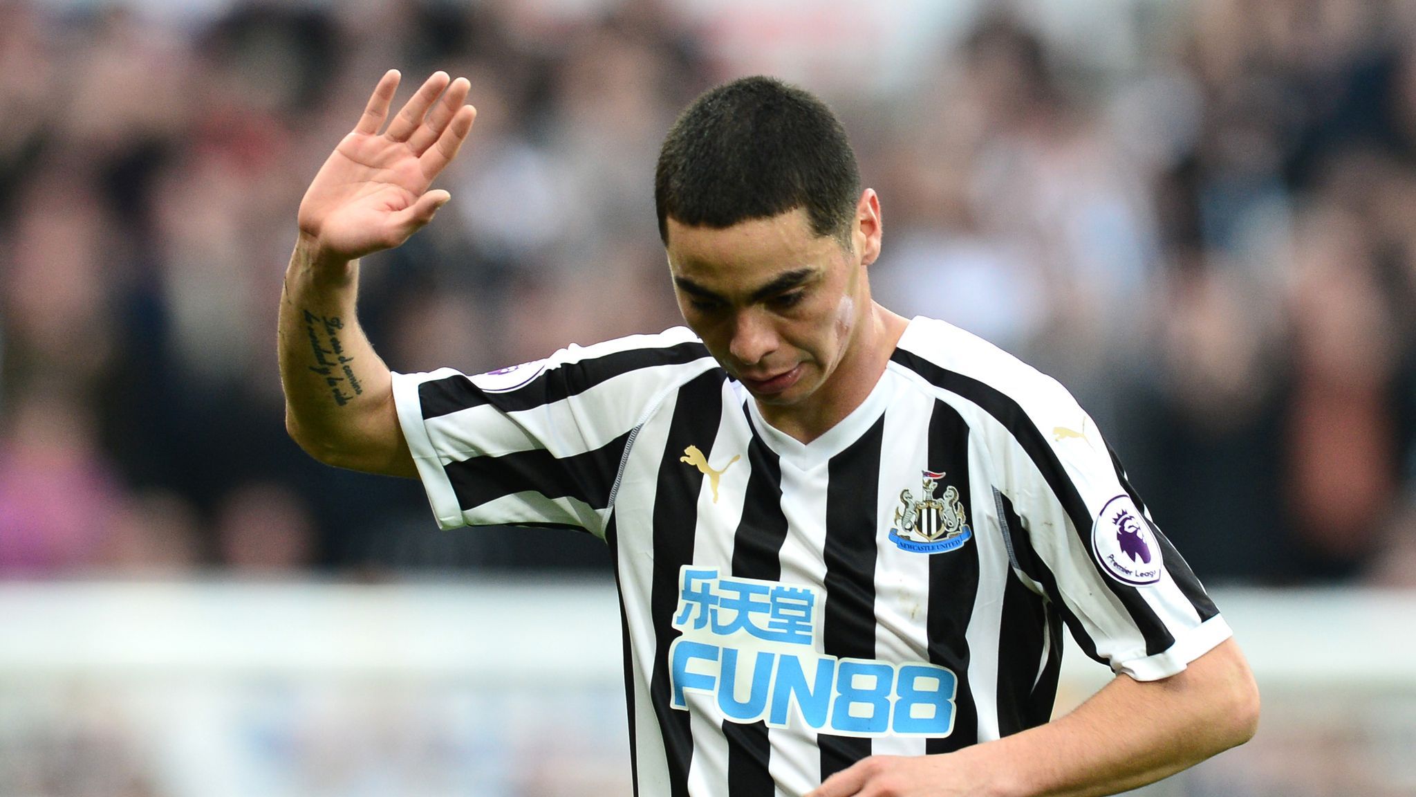 2048x1152 Miguel Almiron impresses on full debut as Newcastle continue resurgence