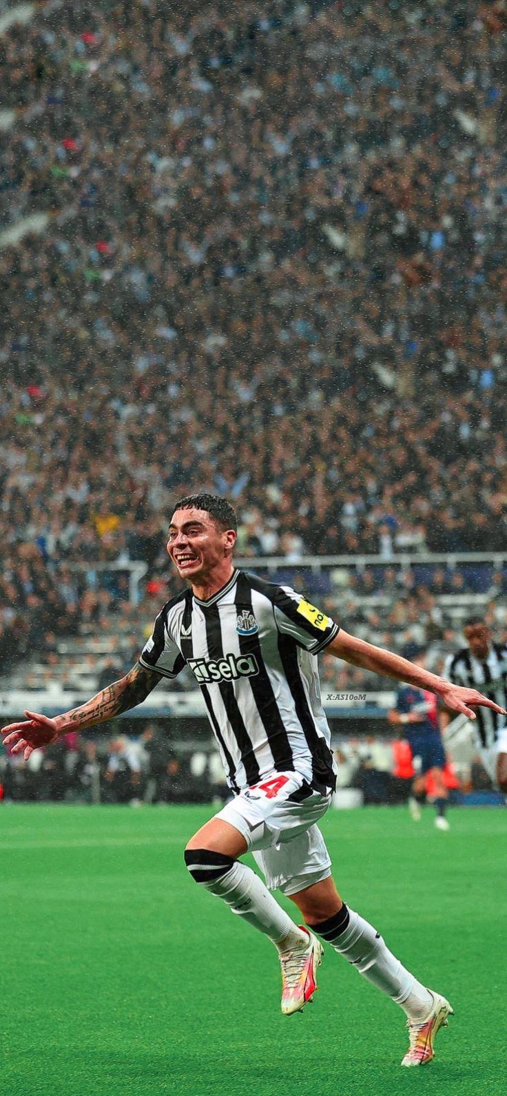 736x1592 Miguel Almirón