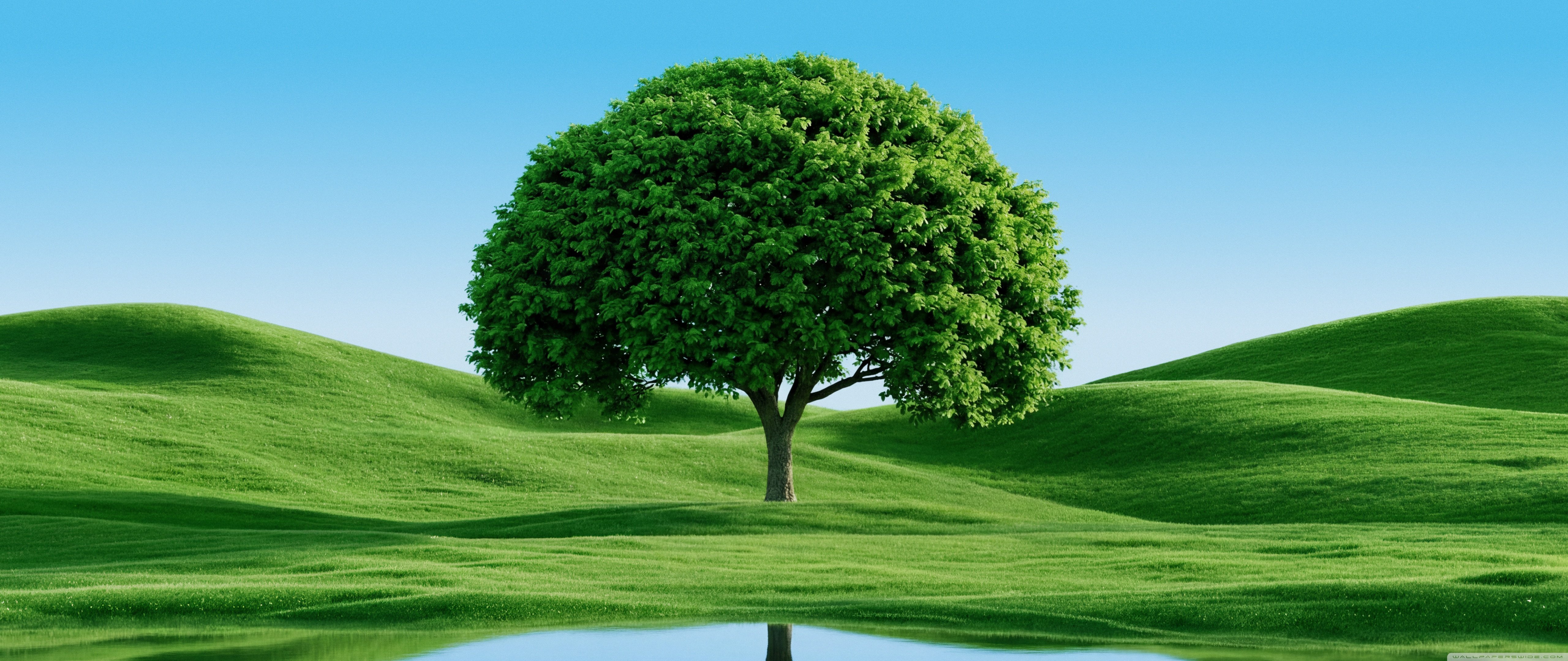 5120x2160 5120x2160 UltraWide 21:9 High Quality Desktop Wallpaper for UltraHD TV, Smartphone, Tablet
