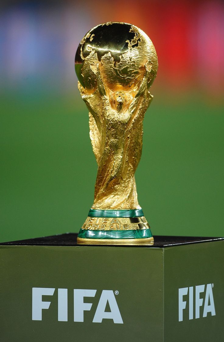 736x1121 FIFA World Cup 2010