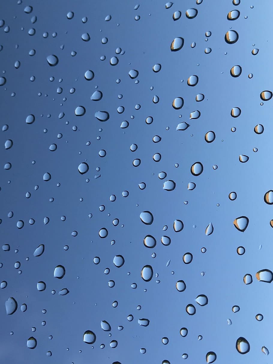 910x1213 HD wallpaper: raindrops, water, wet, liquid, weather, nature, transparent