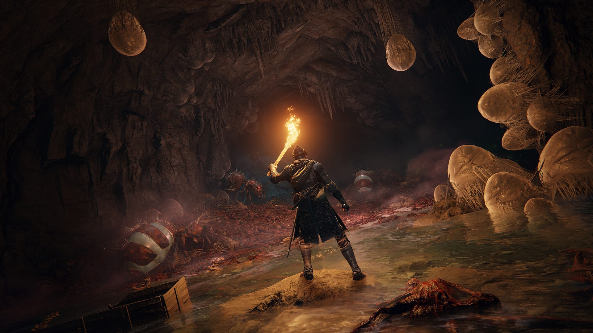 1920x1080 Elden Ring Works Best When You Let Go Punished Backlog