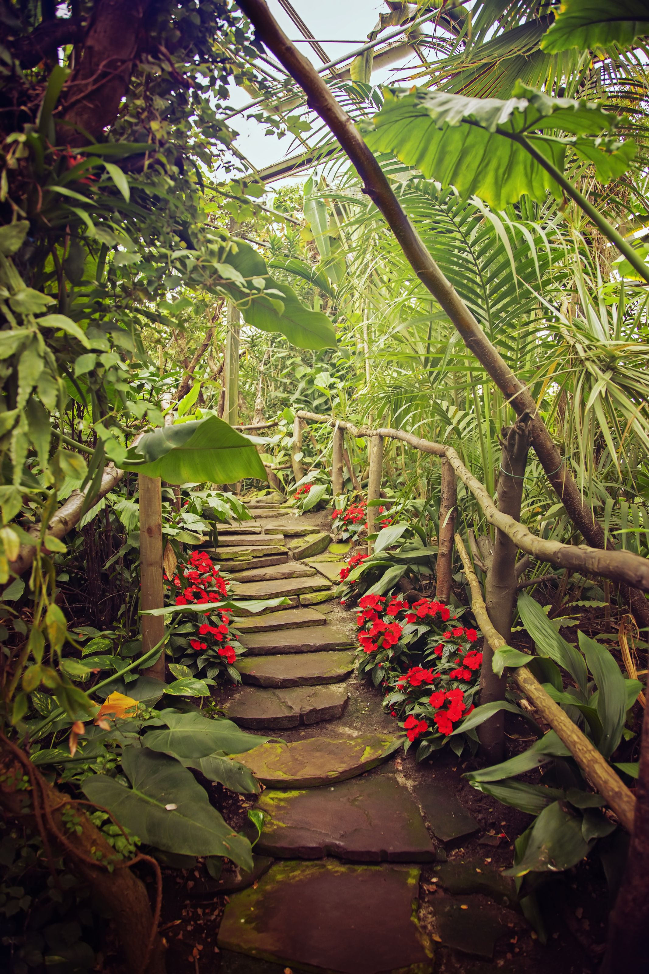 2133x3200 Tropical Footbridge Wall Mural