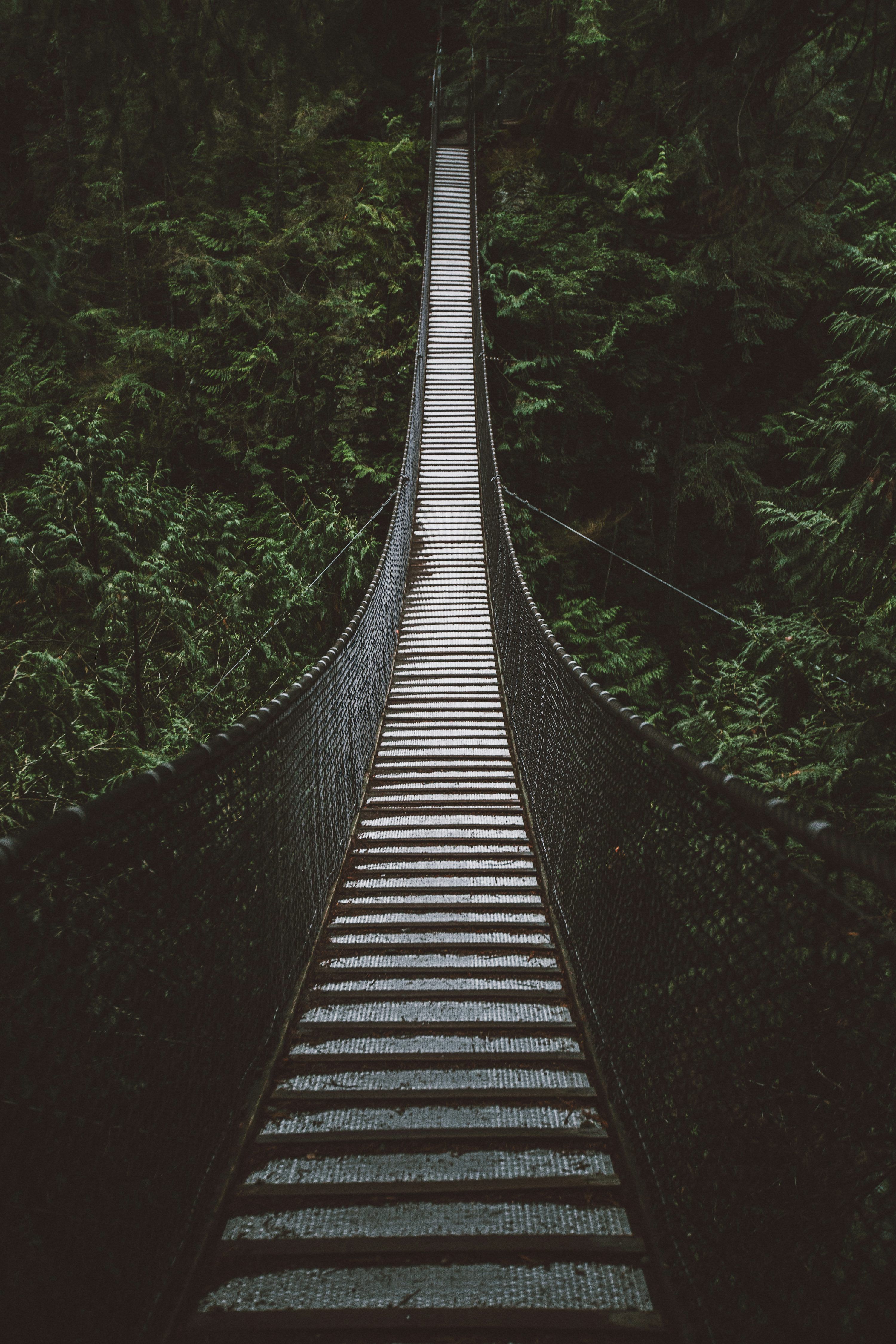 3000x4500 Empty hanging footbridge through forest photo