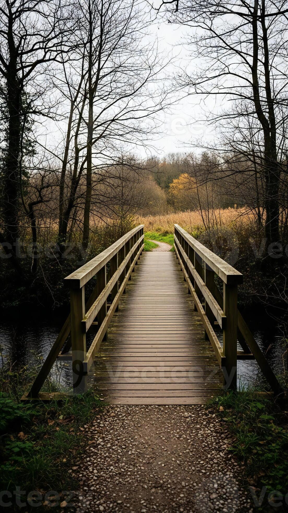 1103x1960 Nature wallpaper, Nature landscape, Wooden footbridge leading across quiet woodland stream