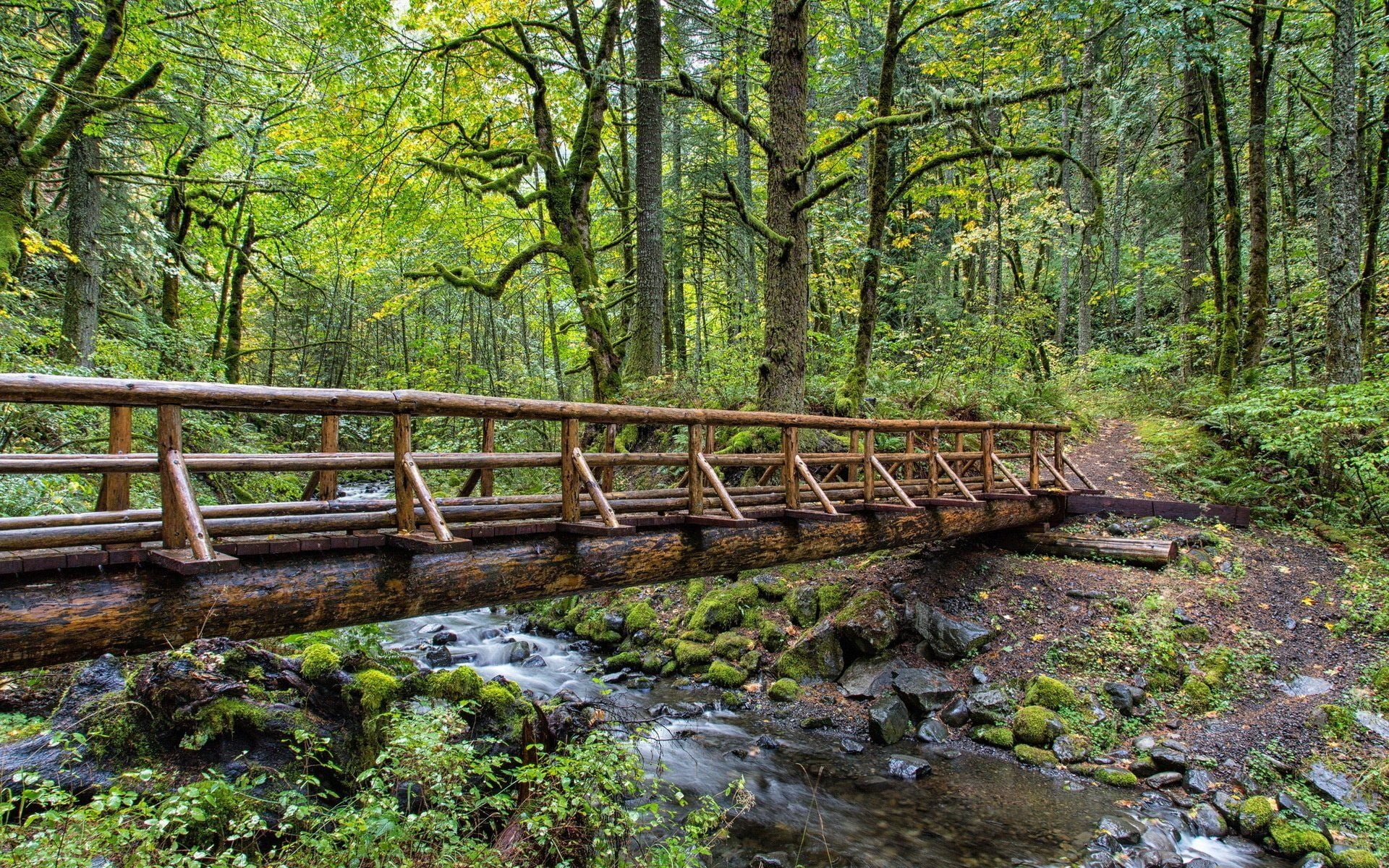 1920x1200 Mossy Timber Footbridge