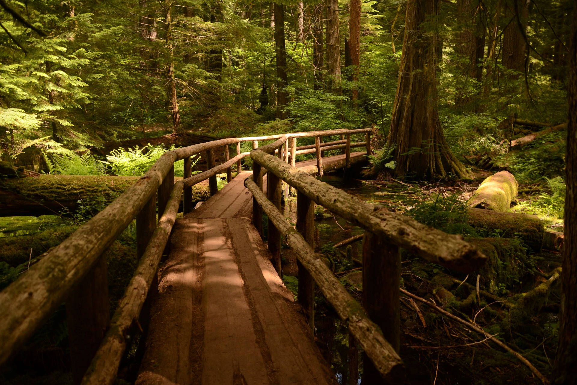1920x1280 Download Oregon Footbridge Path Wallpaper