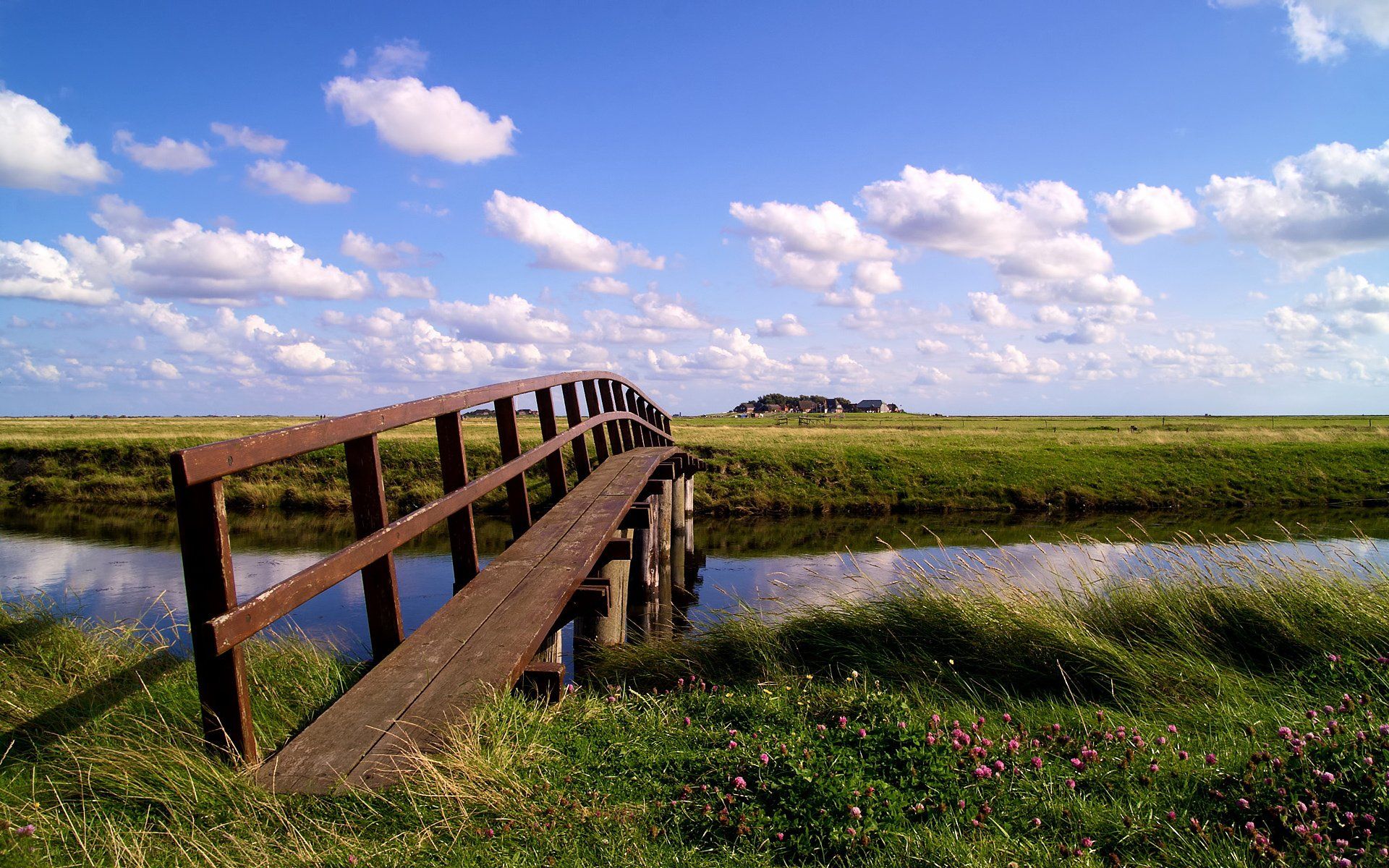 1920x1200 Serene Marsh Footbridge