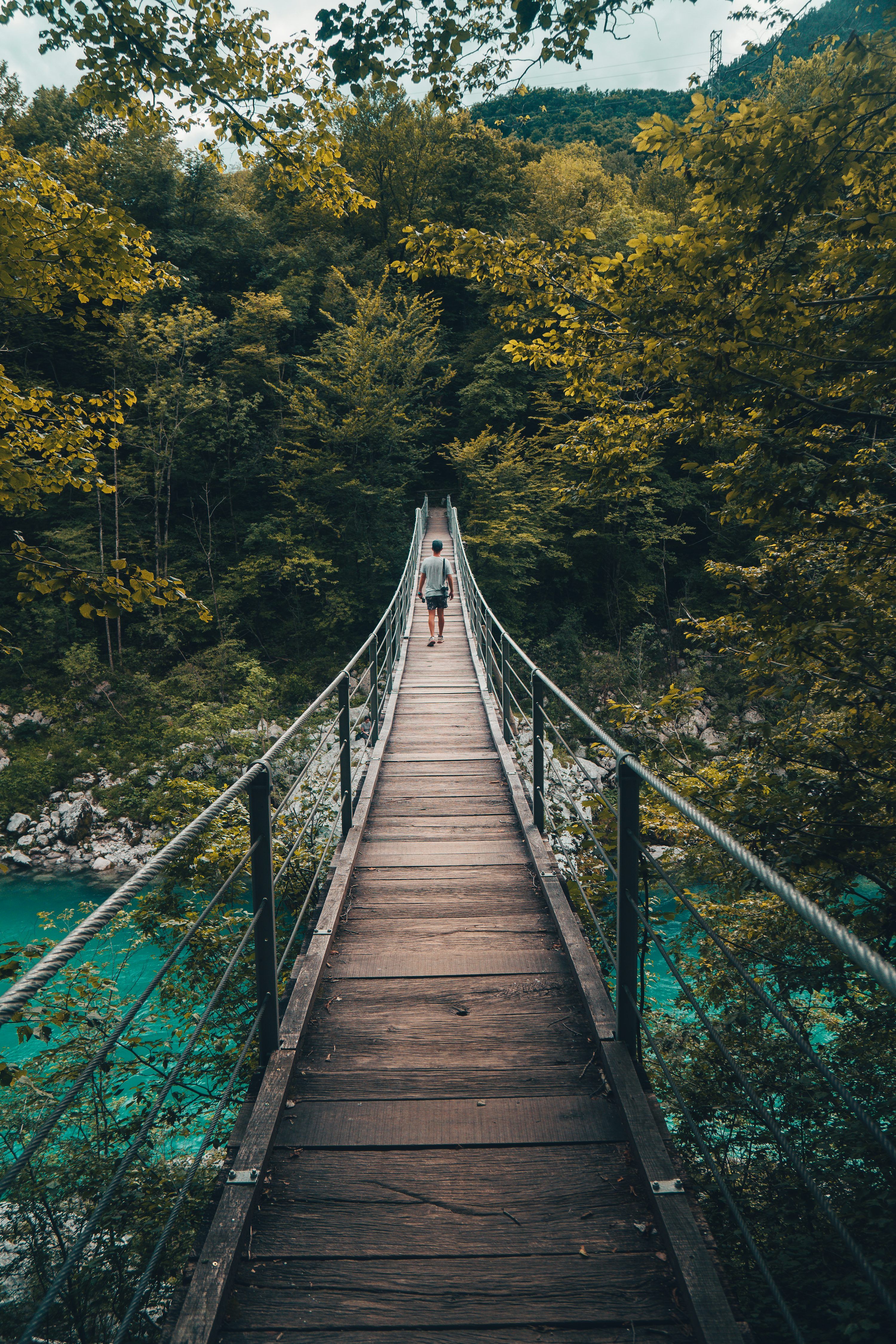 3000x4500 Footbridge Picture. Download Free Image