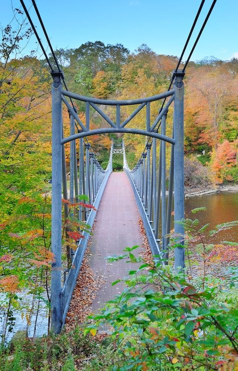 475x740 Campo volantin footbridge Image