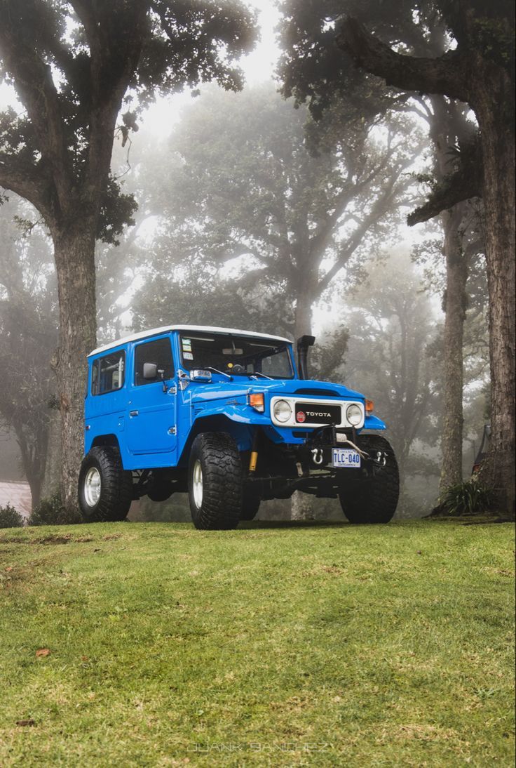736x1094 FJ40