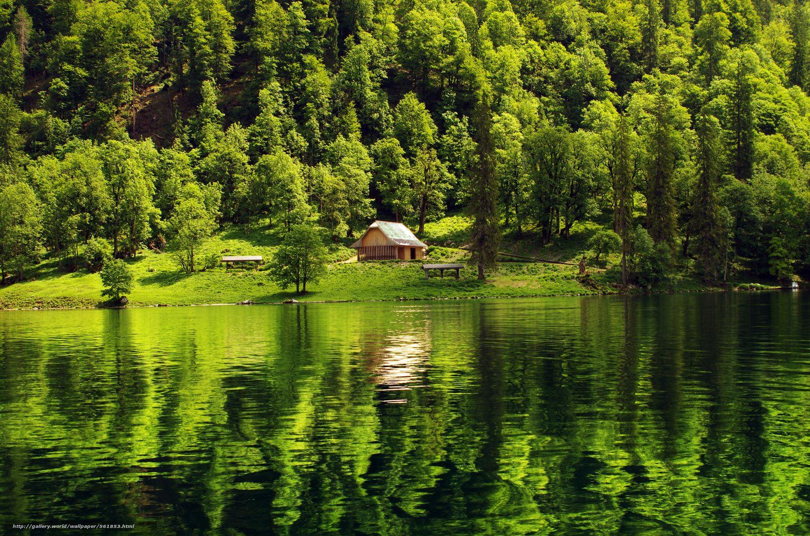 1600x1060 Lake Cabin Forest Wallpaper