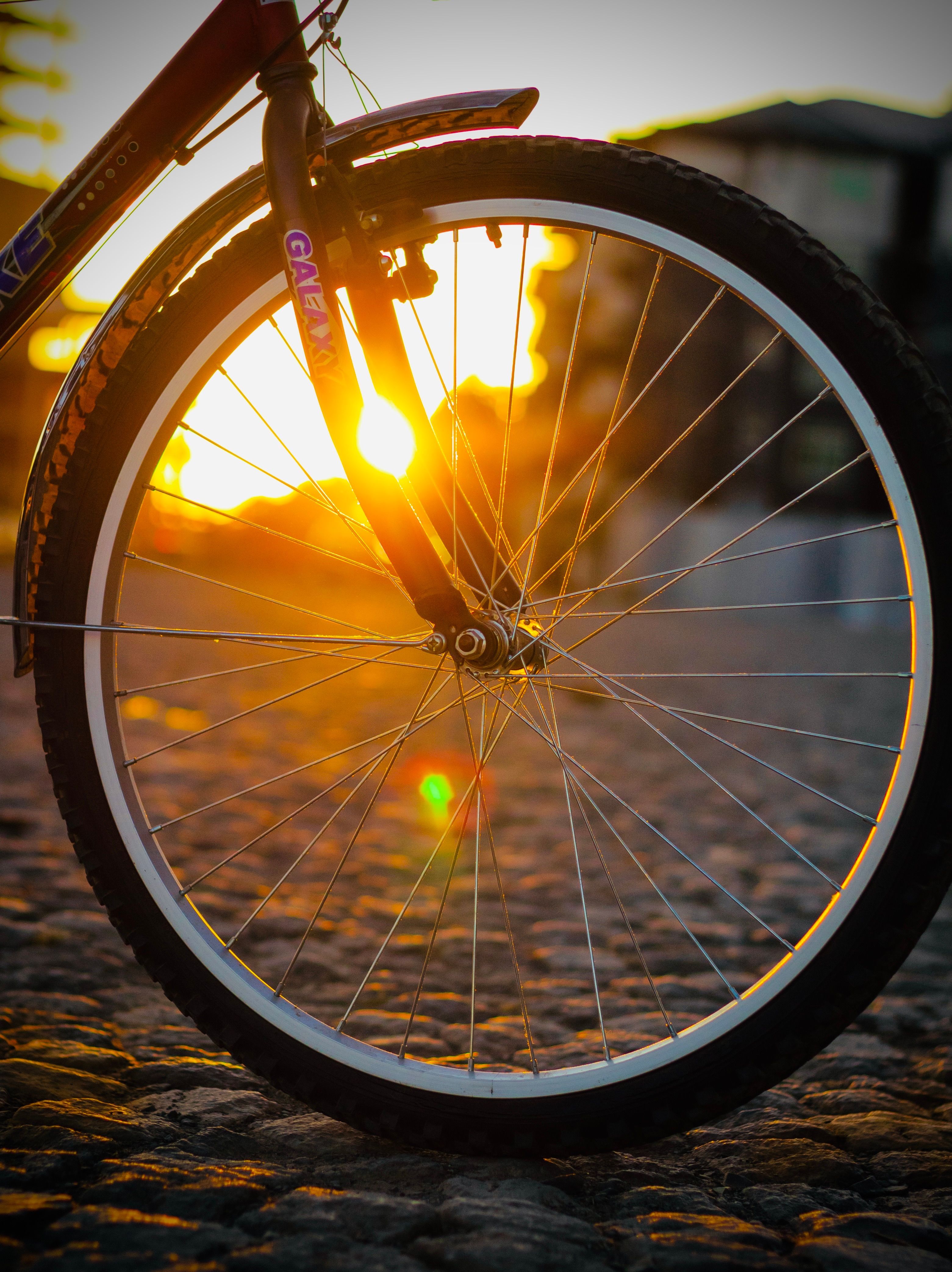 3122x4171 Sun between Spokes · Free