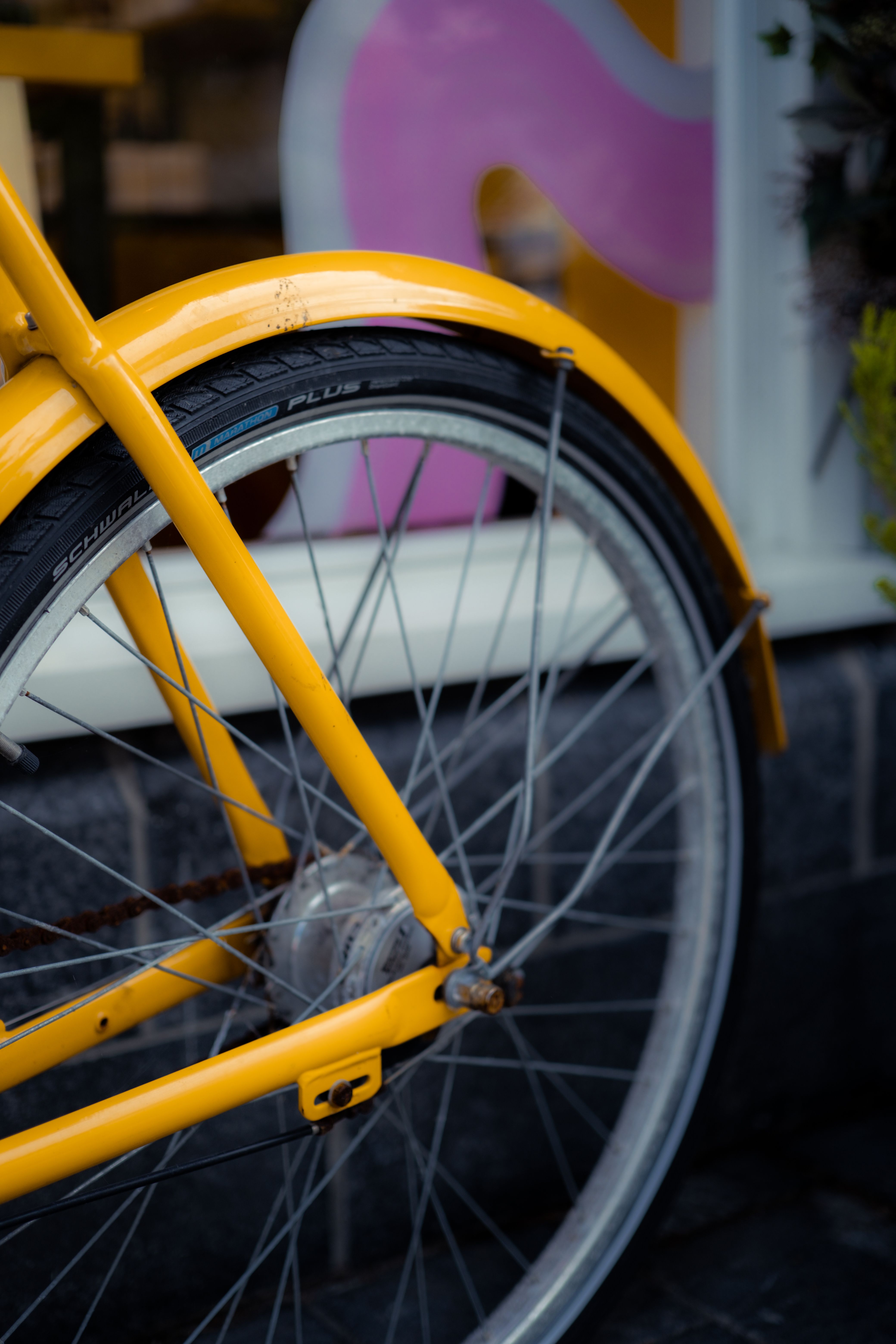 4160x6240 Spoke Photo, Download The BEST Free Spoke & HD Image