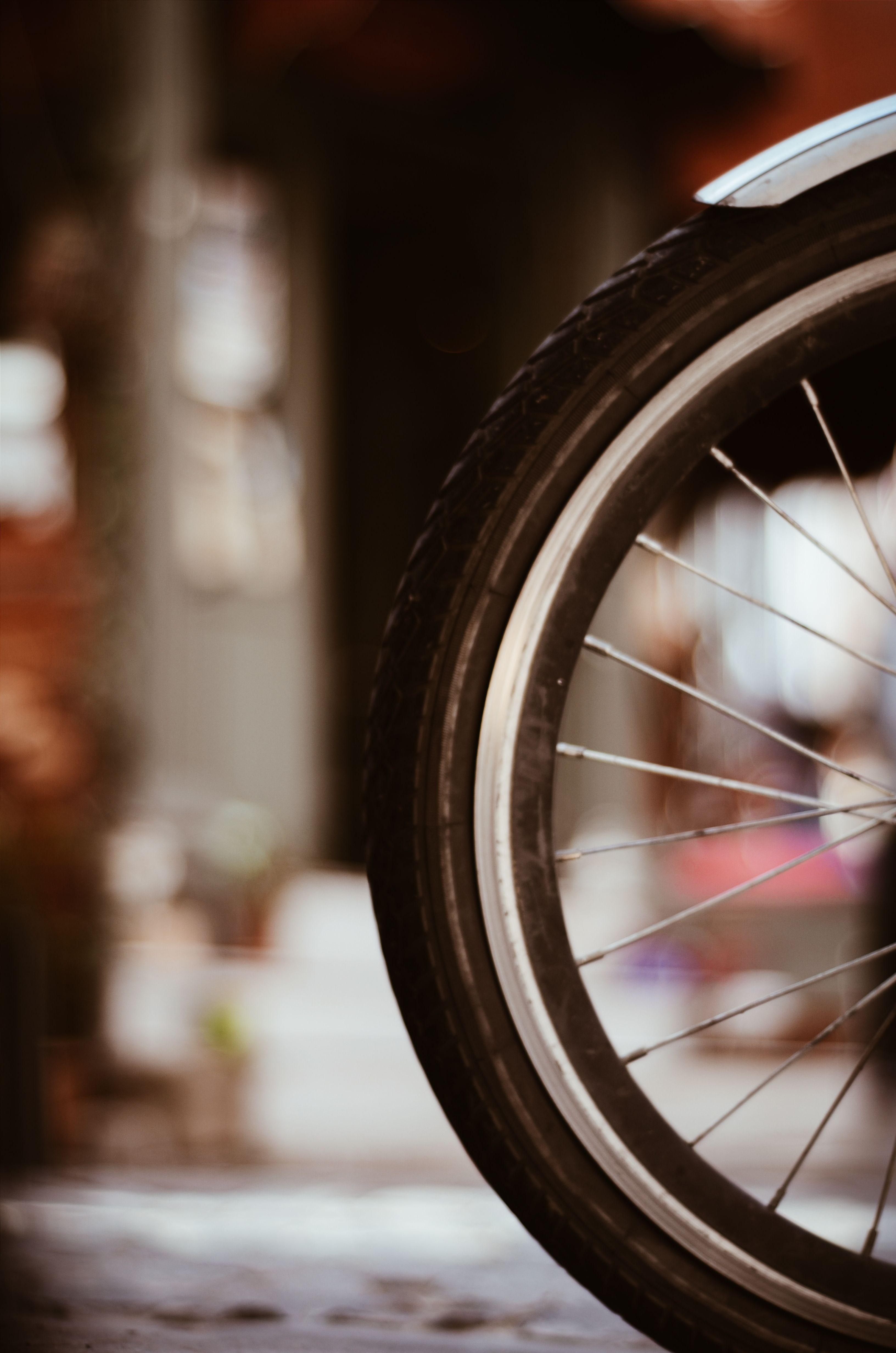 3264x4928 Bike Wheel Photo, Download The BEST Free Bike Wheel & HD Image