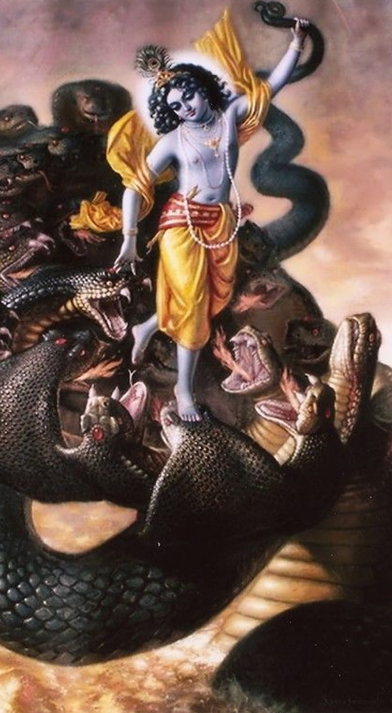 800x1452 Sri krishna, on snake, HD phone wallpaper