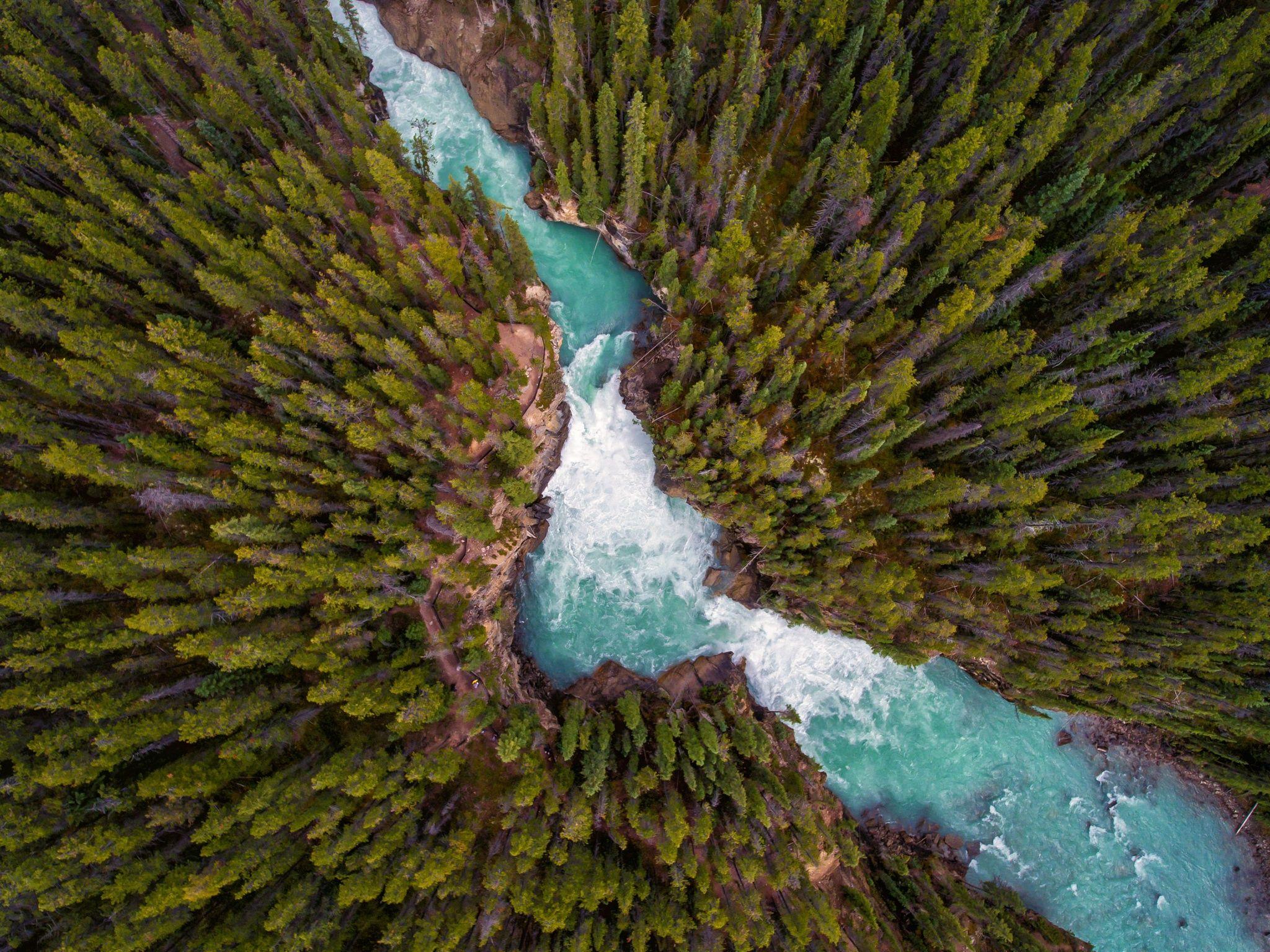 2048x1535 Wallpaper Lake, Forest, HD, Nature,. Wallpaper for iPhone
