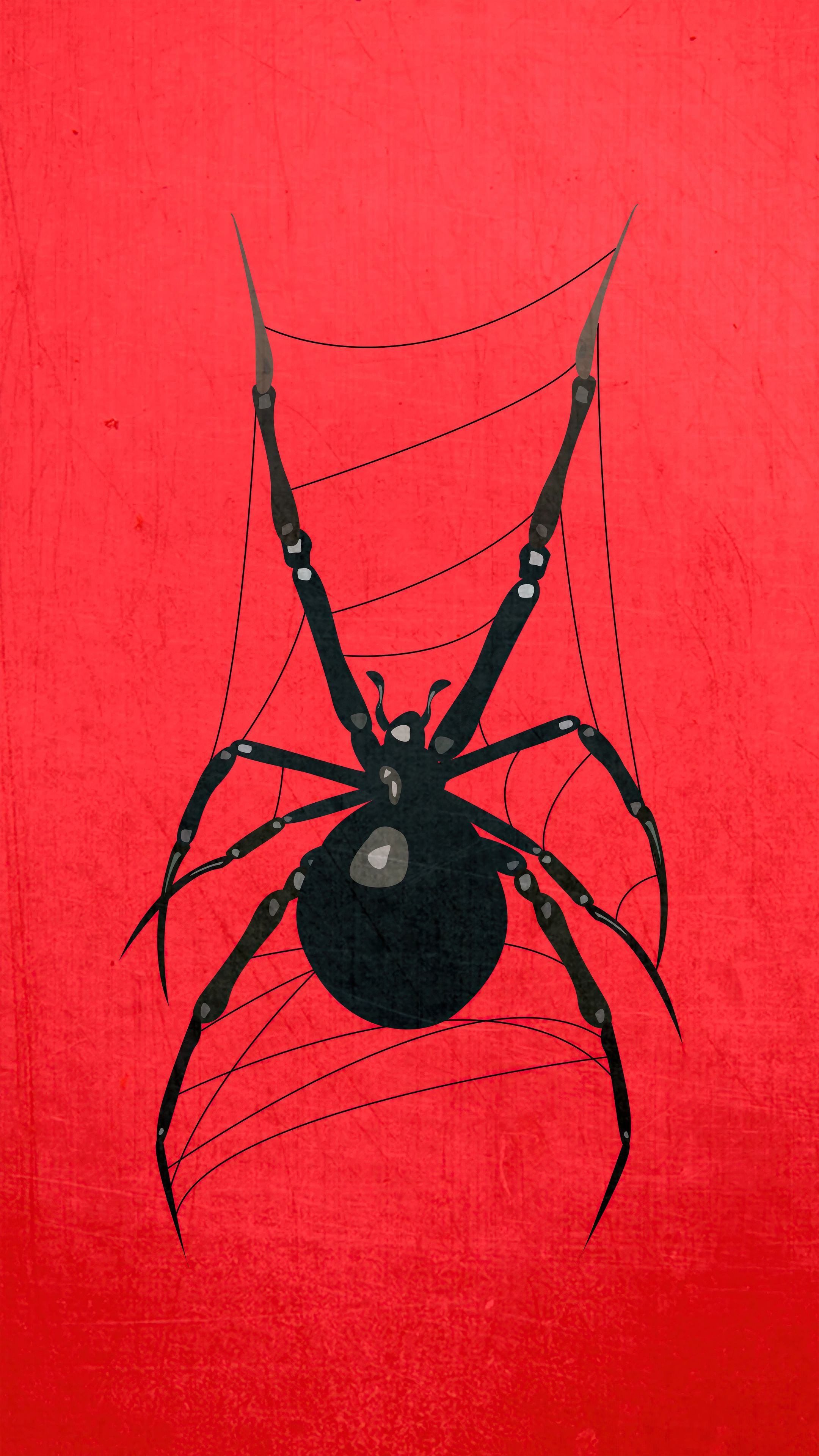 2160x3840 Spider (Animal) Wallpaper