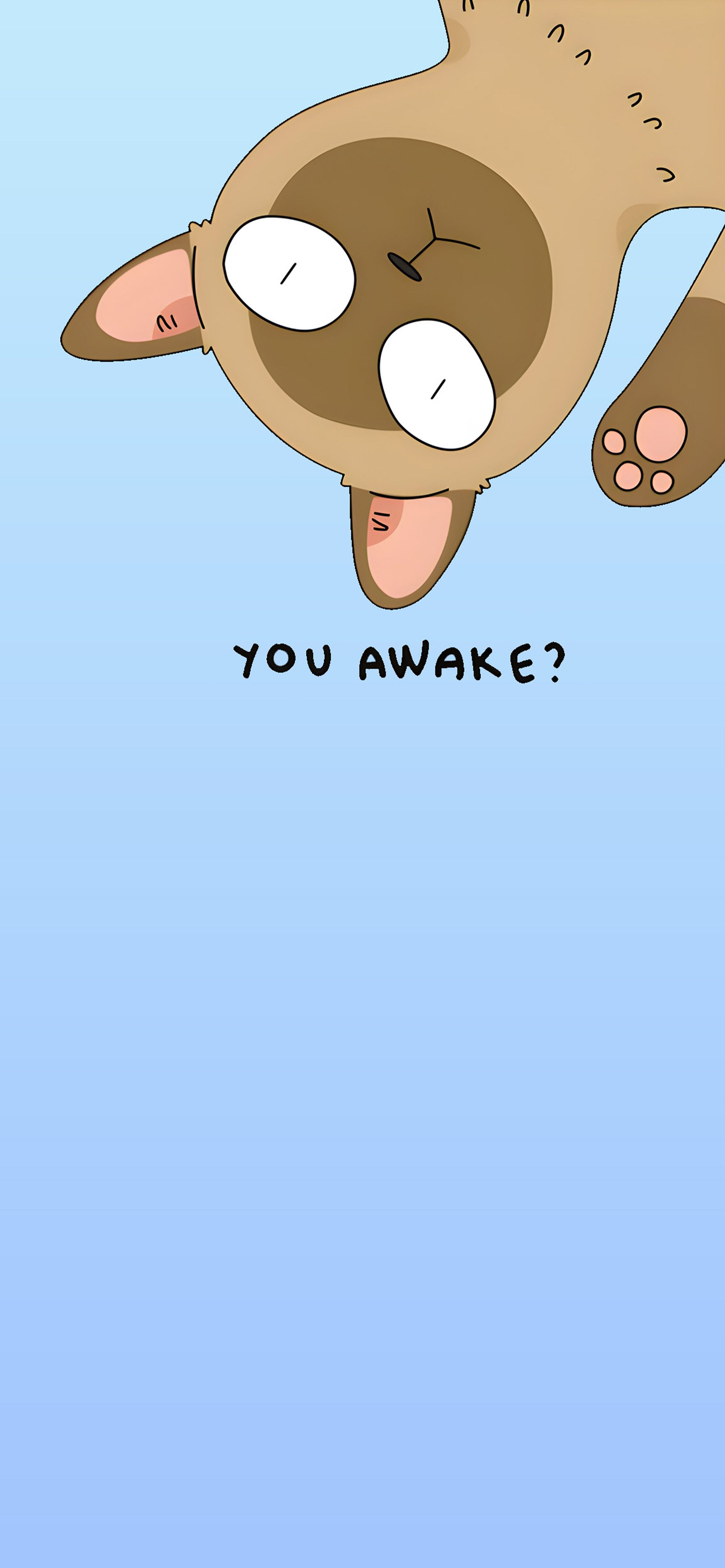 2000x4329 You Awake? Cat Funny Wallpaper Feline Wallpaper