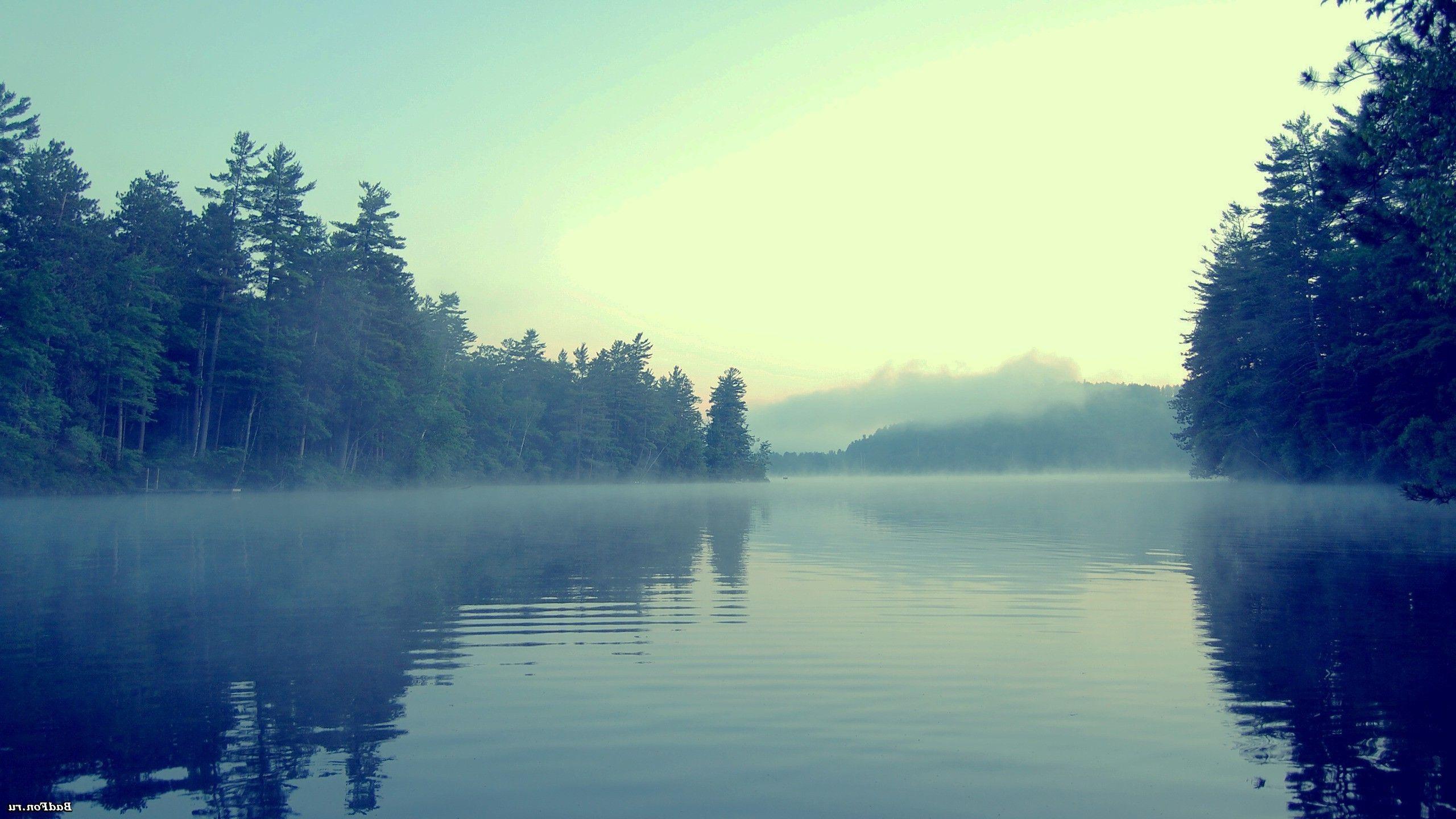 2560x1440 lake, Forest, Mist Wallpaper HD / Desktop and Mobile Background